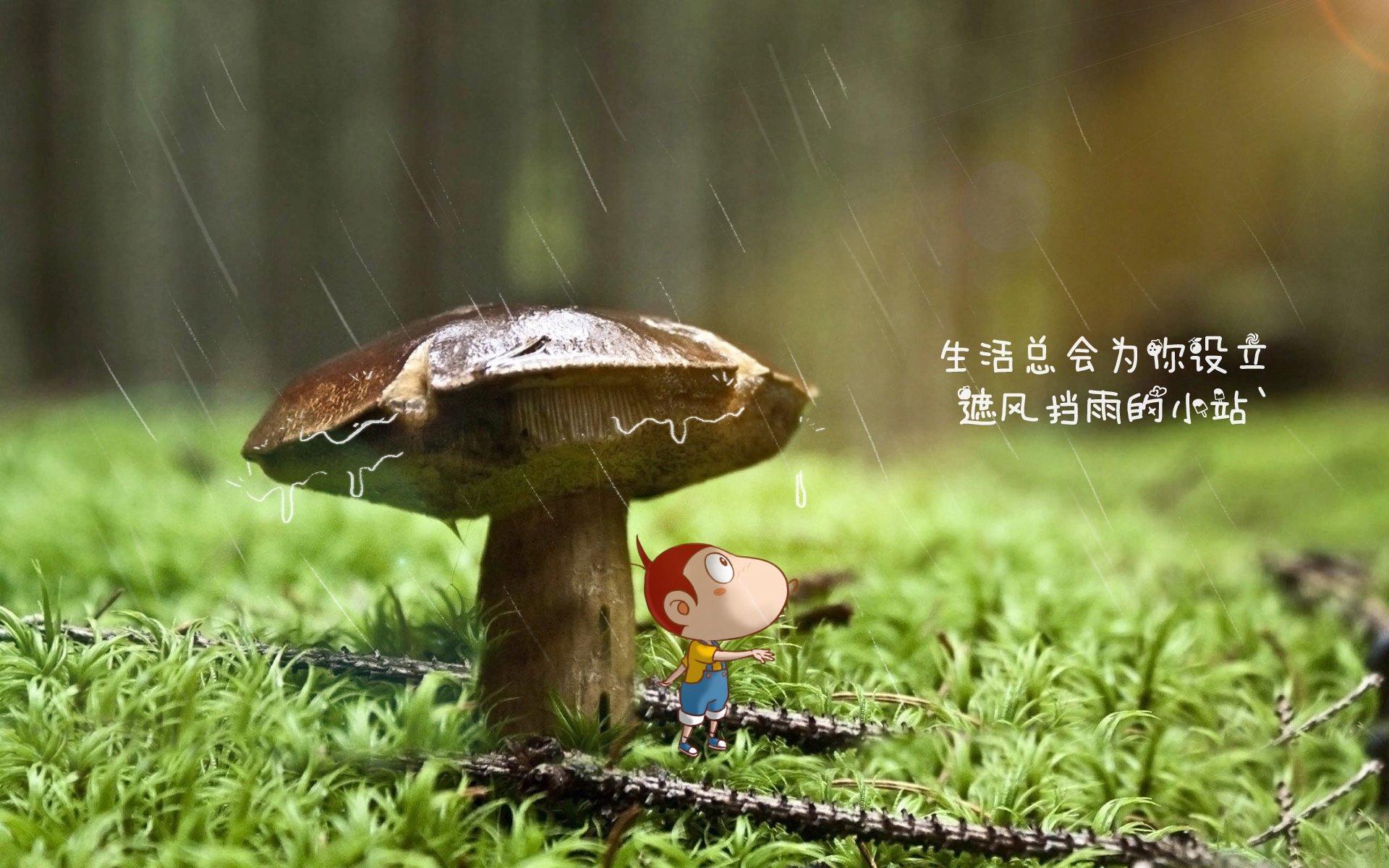 健康足球引领全民健身新潮流，服务多元化体育需求，足球与健康800字作文