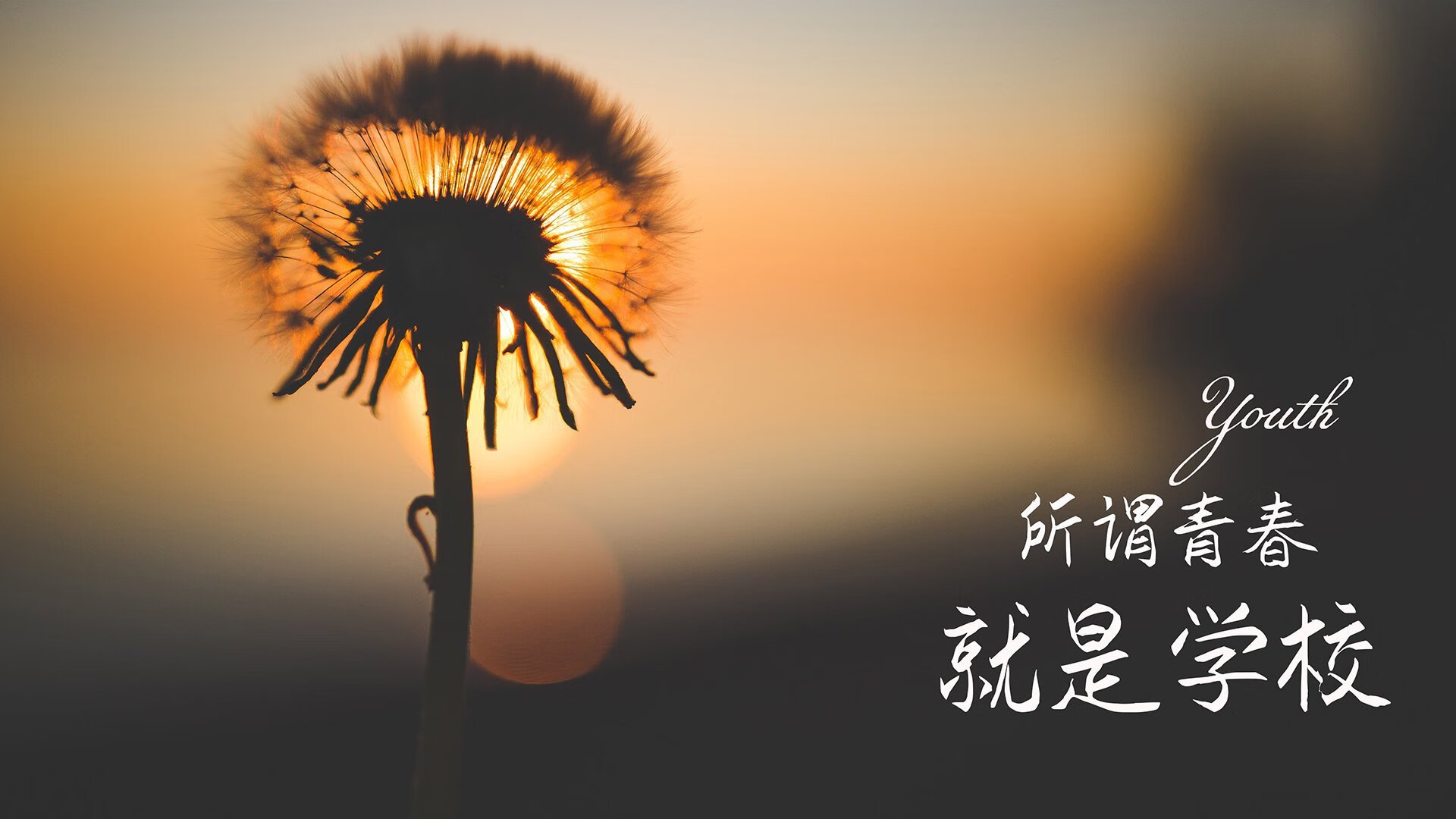中超多队启用U23球员，年轻力量受重用，中超 u23
