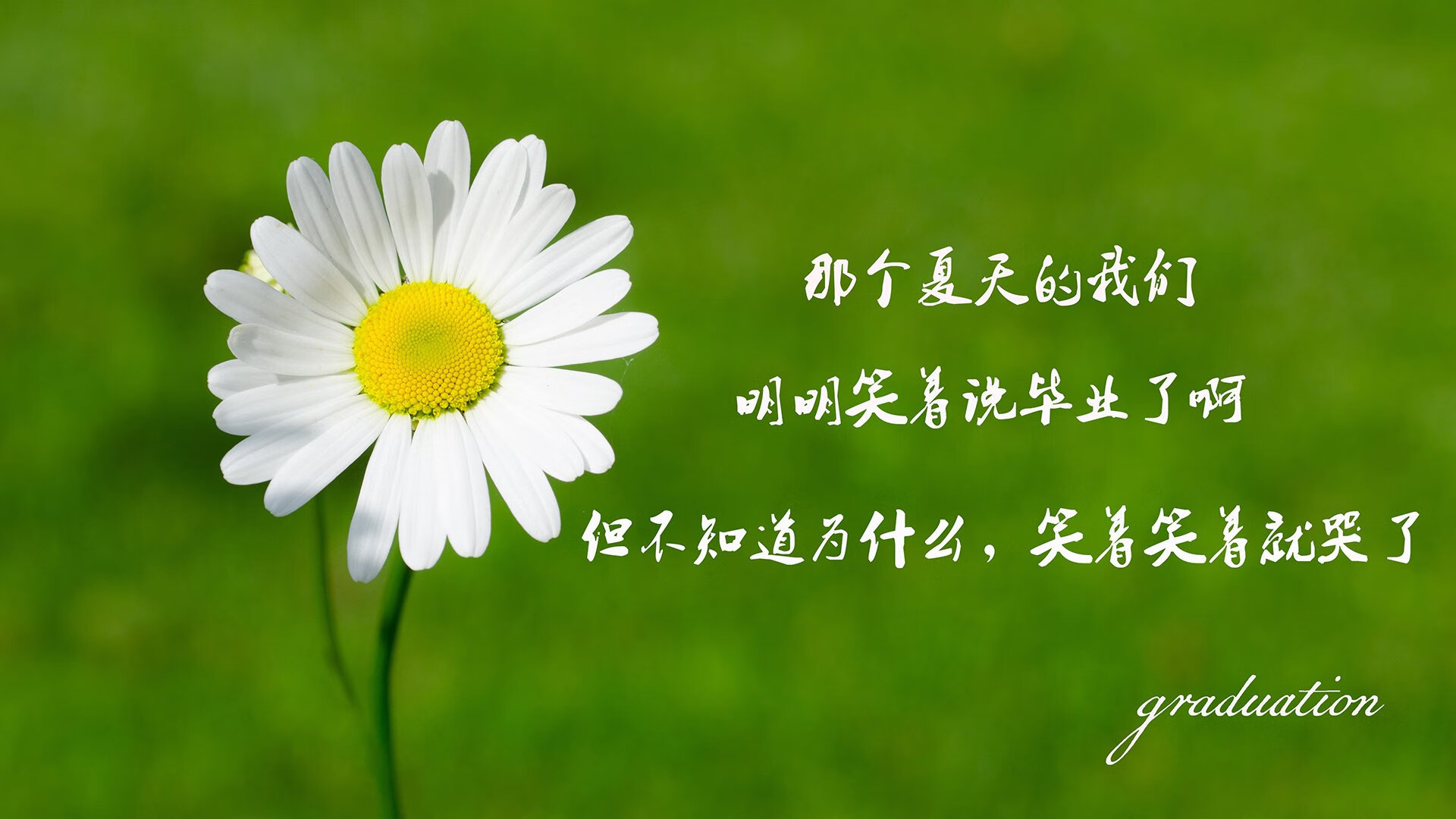 重庆队在激烈对决中夺得胜利，士气高昂，足球重庆队