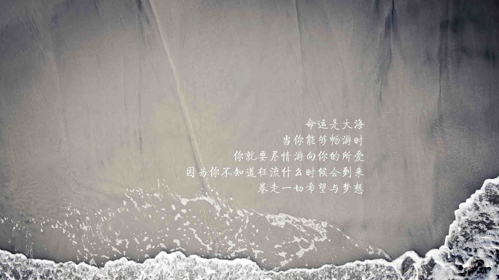 体育领域反兴奋剂监管机制评估，国家体育总局反兴奋剂中心的网站是什么