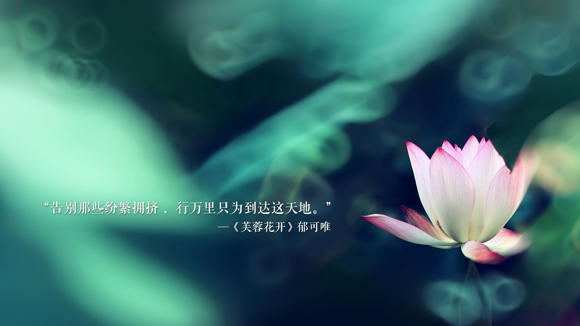 广东宏远推进球员本地化战略增强地域认同感，广东宏远引入新球员