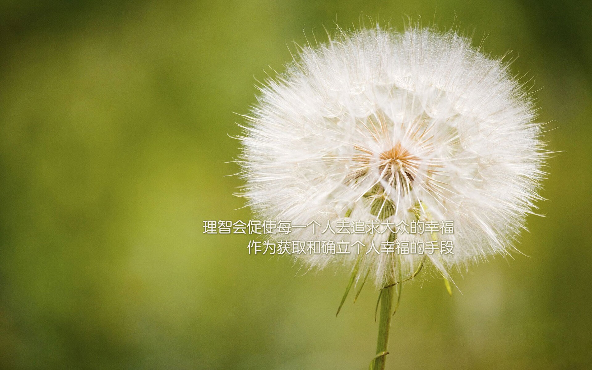 意甲球员的职业生涯规划，意甲球员数据统计