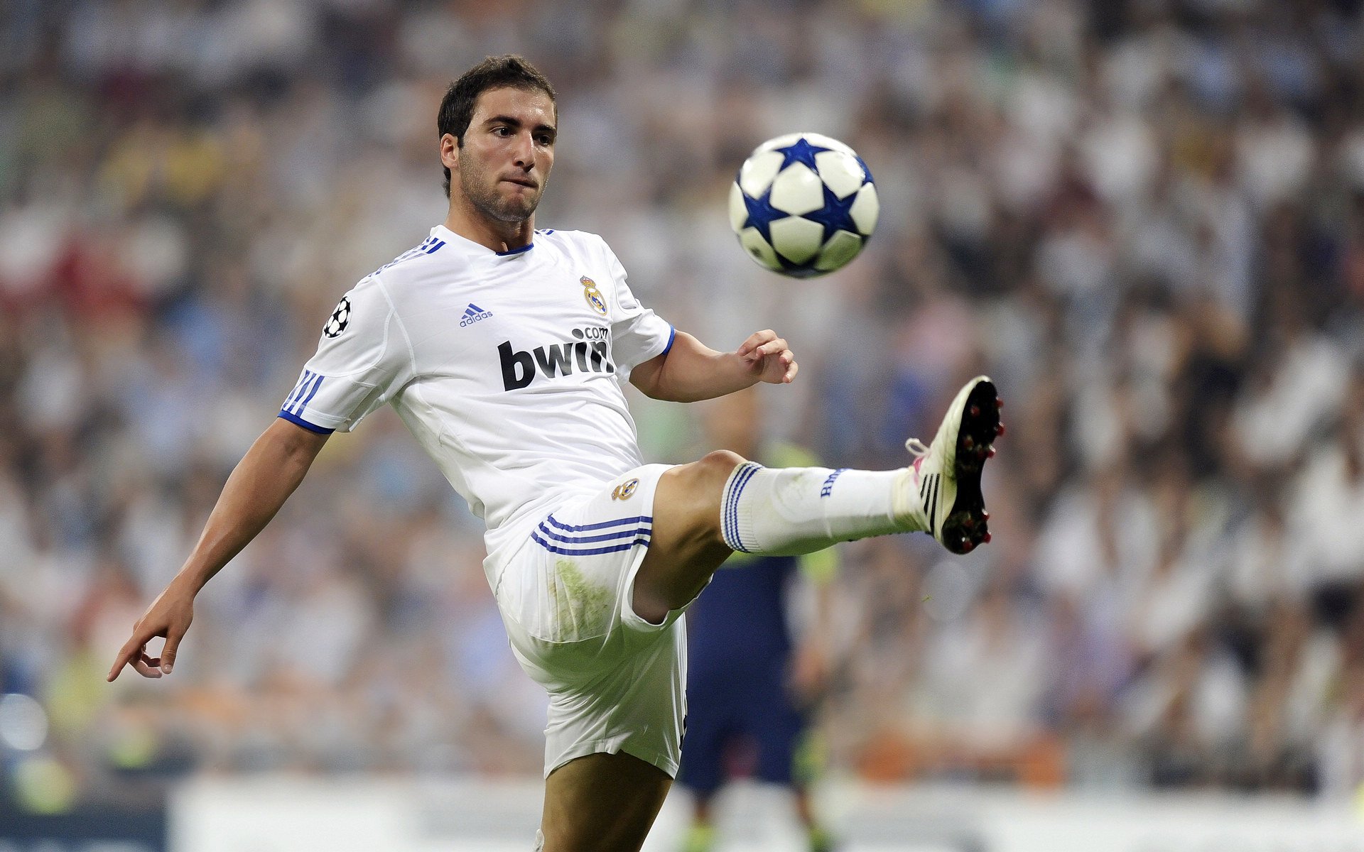 伤病追踪：核心球员的康复现状与比赛影响，球队伤病